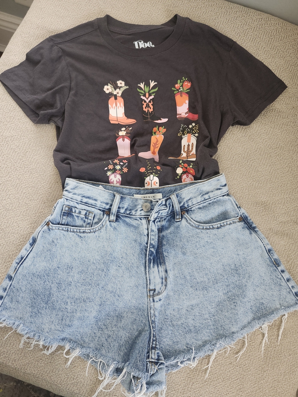 "Y2K Aesthetic" Pacsun Shorts .